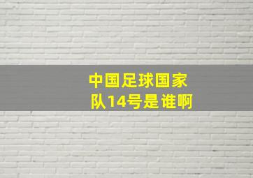 中国足球国家队14号是谁啊