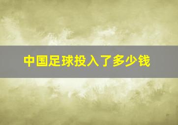 中国足球投入了多少钱