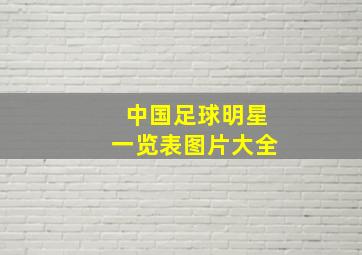 中国足球明星一览表图片大全