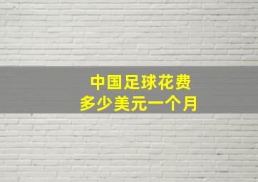 中国足球花费多少美元一个月