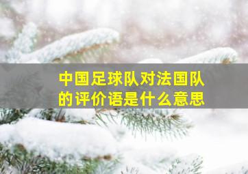 中国足球队对法国队的评价语是什么意思