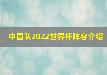 中国队2022世界杯阵容介绍