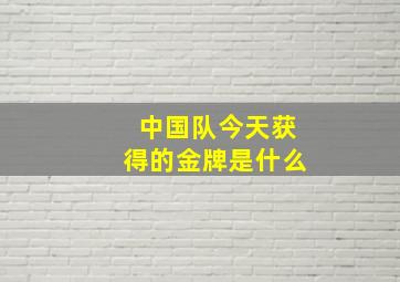 中国队今天获得的金牌是什么