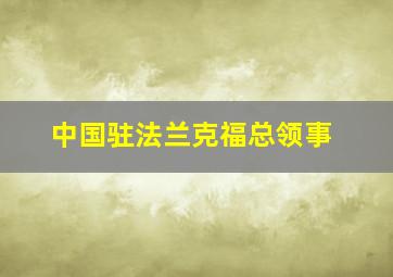 中国驻法兰克福总领事