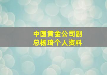 中国黄金公司副总杨琦个人资料