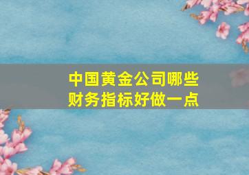 中国黄金公司哪些财务指标好做一点