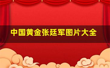 中国黄金张廷军图片大全