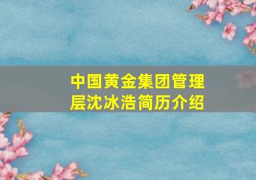 中国黄金集团管理层沈冰浩简历介绍