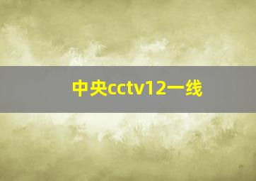 中央cctv12一线