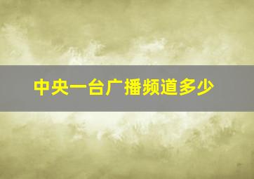 中央一台广播频道多少