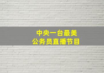 中央一台最美公务员直播节目