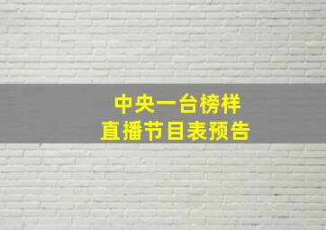 中央一台榜样直播节目表预告