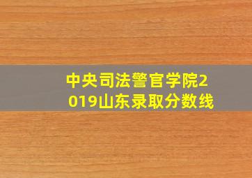 中央司法警官学院2019山东录取分数线