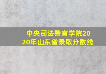 中央司法警官学院2020年山东省录取分数线