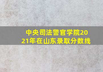 中央司法警官学院2021年在山东录取分数线