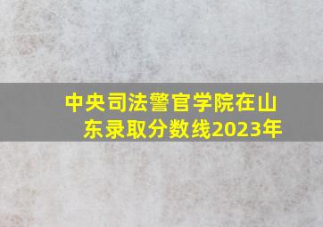 中央司法警官学院在山东录取分数线2023年