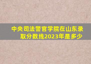 中央司法警官学院在山东录取分数线2023年是多少