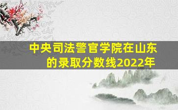 中央司法警官学院在山东的录取分数线2022年