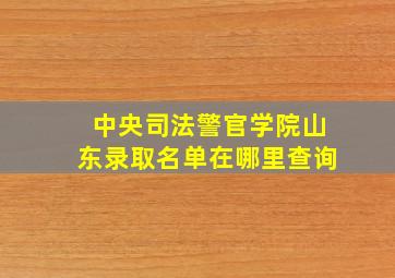 中央司法警官学院山东录取名单在哪里查询