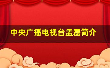 中央广播电视台孟磊简介