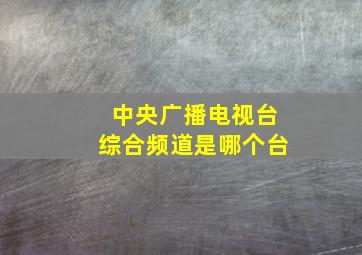 中央广播电视台综合频道是哪个台