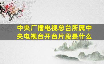 中央广播电视总台所属中央电视台开台片段是什么