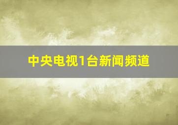 中央电视1台新闻频道