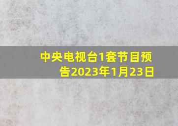 中央电视台1套节目预告2023年1月23日