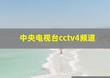 中央电视台cctv4频道