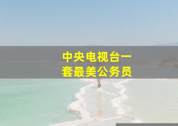 中央电视台一套最美公务员