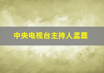 中央电视台主持人孟磊