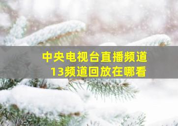 中央电视台直播频道13频道回放在哪看