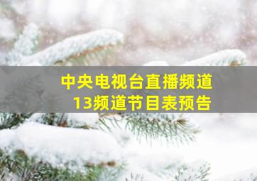 中央电视台直播频道13频道节目表预告