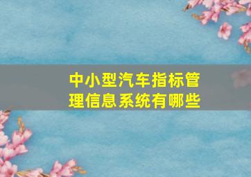 中小型汽车指标管理信息系统有哪些