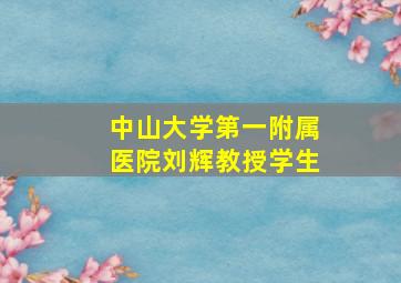 中山大学第一附属医院刘辉教授学生