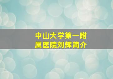 中山大学第一附属医院刘辉简介