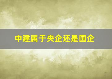 中建属于央企还是国企