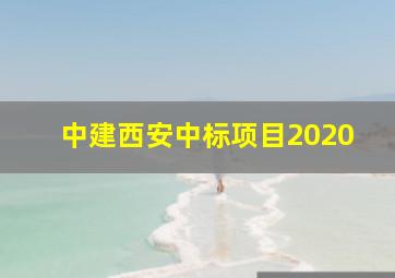 中建西安中标项目2020