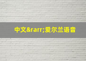 中文→爱尔兰语音