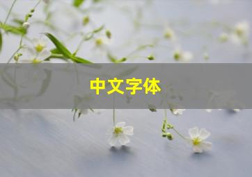 中文字体