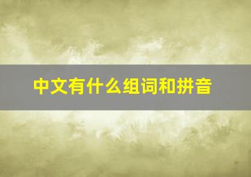 中文有什么组词和拼音