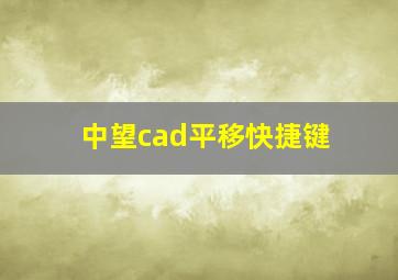 中望cad平移快捷键