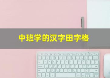 中班学的汉字田字格