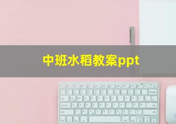 中班水稻教案ppt