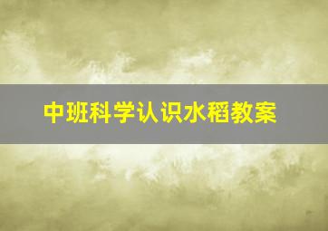 中班科学认识水稻教案