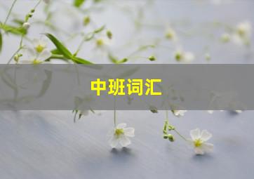 中班词汇