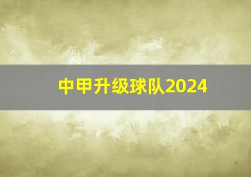 中甲升级球队2024