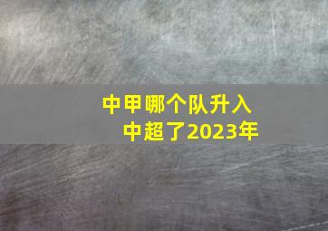 中甲哪个队升入中超了2023年