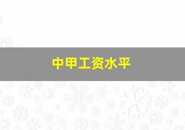 中甲工资水平