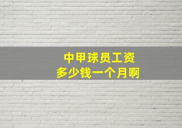 中甲球员工资多少钱一个月啊